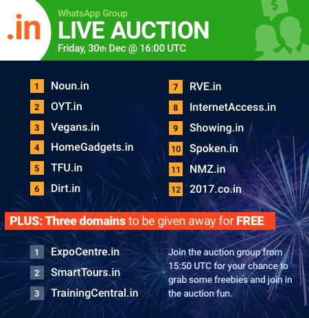 end-of-year_dot-in-domain-names-auction_updated