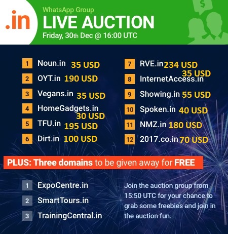 end-of-year_dot-in-domain-names-auction_updated_results