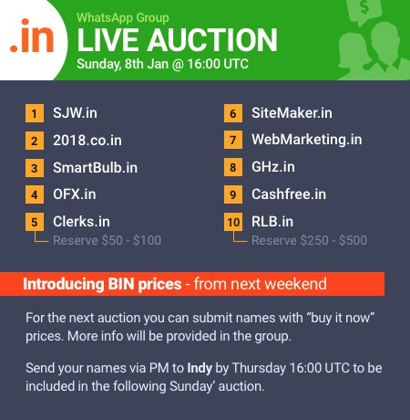 08jan2017_dotinauctions_premium_names_auctionslist