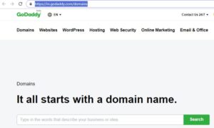 buy a domain name
