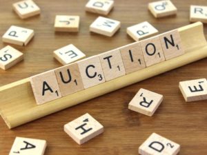 .in domain names in auction