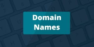 10 Most expensive .IN domain names